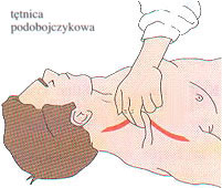 tetnica_podobojczykowa